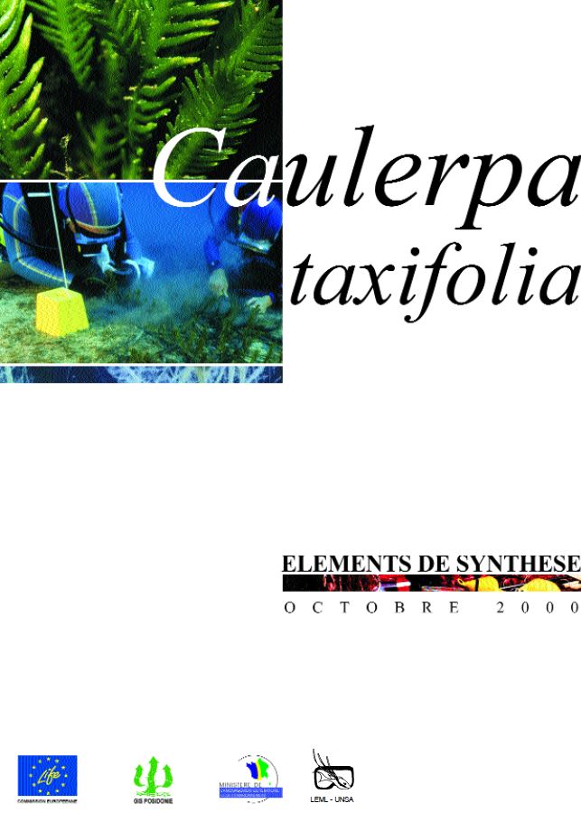 Caulerpa_Taxifolia_Plaquette_DIREN_page_de_garde