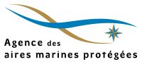 Logo_AAMP_sur_fond_blanc