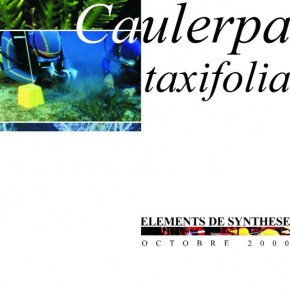 Caulerpa taxifolia : éléments de synthèse Caulerpa taxifolia : éléments de synthèse