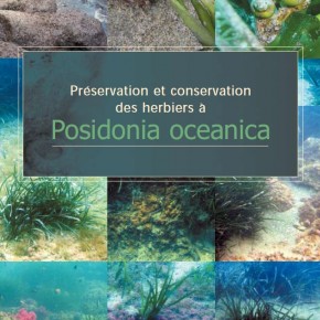 "Préservation et conservation des herbiers à Posidonia oceanica" - Le guide RAMOGE "Préservation et conservation des herbiers à Posidonia oceanica" - Le guide RAMOGE