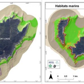 Difficultés d’identification et de qualification des habitats Difficultés d’identification et de qualification des habitats