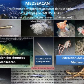 ZOODEX, un outil de stockage, de traitement, de consultation et de restitution de données multiples ZOODEX, un outil de stockage, de traitement, de consultation et de restitution de données multiples