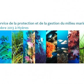 30 ans au service de la Méditerranée 30 ans au service de la Méditerranée