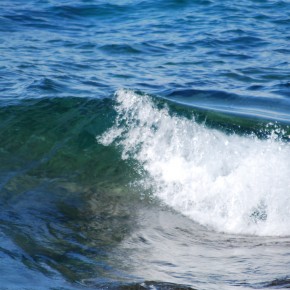 Impact des émissaires en mer Impact des émissaires en mer