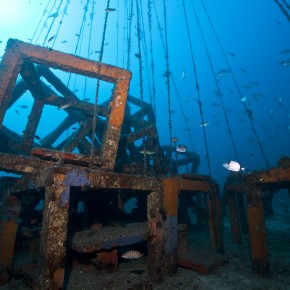 Les récifs artificiels et le GIS Posidonie : de l'observation des poissons à la conception du plus grand récif de Méditerranée Les récifs artificiels et le GIS Posidonie : de l'observation des poissons à la conception du plus grand récif de Méditerranée