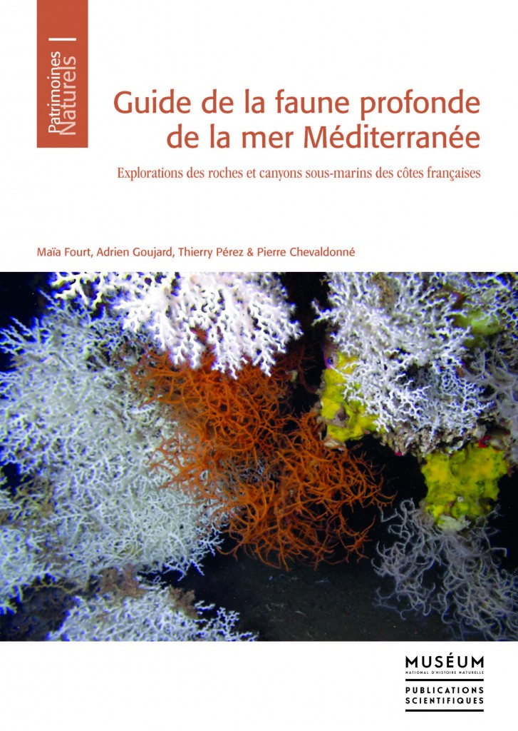 Guide de la faune profonde en Méditérranée_Couv_C1_15-5-17