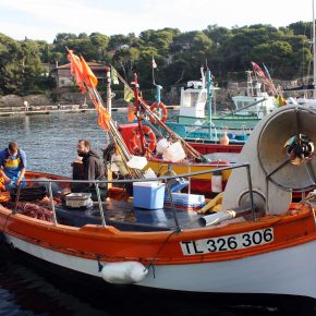 Echantillonner par pêche, échantillonner avec les pêcheurs Echantillonner par pêche, échantillonner avec les pêcheurs