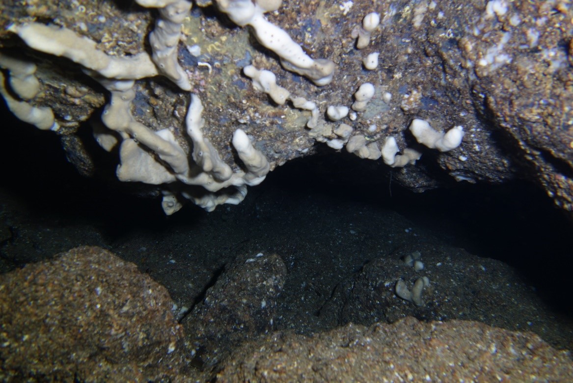 Grottes sous-marines